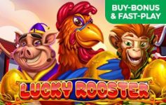 Lucky Rooster