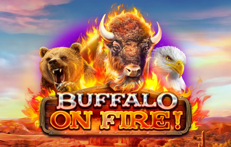 Buffalo on Fire!